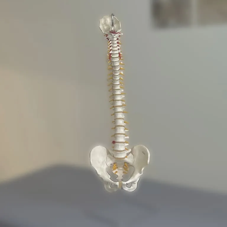 Physiotherapeutin Tanja Fürstenhöfer